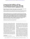 Control of Hair Follicle Cell Fate by Underlying Mesenchyme Through a CSL–Wnt5a–FoxN1 Regulatory Axis