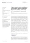 Rapid In Situ Formation of a Double Cross-Linked Network Hydrogels for Wound Healing Promotion