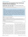 Selenoproteins Are Essential for Proper Keratinocyte Function and Skin Development