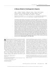 A Mouse Model of Androgenetic Alopecia