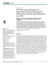 Post-Transcriptional Regulation of Keratinocyte Progenitor Cell Expansion, Differentiation, and Hair Follicle Regression by miR-22