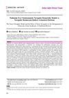 Navigator Nursing Model And Roles Of Navigator Nurse In Polycystic Ovary Syndrome: Traditional Review