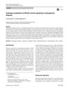 Androgen Modulation of Wnt/β-Catenin Signaling in Androgenetic Alopecia