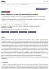 Biotin Is Required for Zinc Homeostasis in the Skin