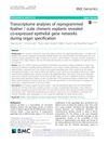 Transcriptome Analyses of Reprogrammed Feather/Scale Chimeric Explants Revealed Co-Expressed Epithelial Gene Networks During Organ Specification