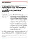 Metabolic and Transcriptomic Reprogramming During Contact Inhibition-Induced Quiescence Is Mediated by YAP-Dependent and YAP-Independent Mechanisms