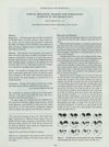 Topical Minoxidil Therapy for Androgenic Alopecia in the Middle East