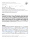 Arabinogalactan Proteins Are Involved in Root Hair Development in Barley