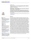 Gap Junctions in Turing-Type Periodic Feather Pattern Formation