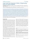 Large Scale Gene Expression Profiles of Regenerating Inner Ear Sensory Epithelia