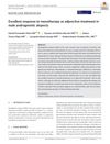 Excellent Response to Mesotherapy as Adjunctive Treatment in Male Androgenetic Alopecia