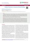 Cellular Plasticity in Cutaneous Wound Healing