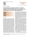 Transcriptional Activation of CCN1 and CCN2, Targets of Canonical Wnt Signal, by Ascorbic Acid 2-Phosphate in Human Dermal Papilla Cells