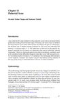 Pubertal Acne