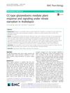 CC-Type Glutaredoxins Mediate Plant Response and Signaling Under Nitrate Starvation in Arabidopsis