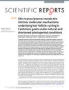Skin Transcriptome Reveals the Intrinsic Molecular Mechanisms Underlying Hair Follicle Cycling in Cashmere Goats Under Natural and Shortened Photoperiod Conditions