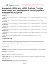 Integrated miRNA and mRNA Analysis Provides New Insight into Mechanism of Dermal Papilla in Androgenetic Alopecia