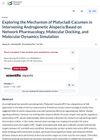 Exploring the Mechanism of Platycladi Cacumen in Intervening Androgenetic Alopecia Based on Network Pharmacology, Molecular Docking, and Molecular Dynamics Simulation