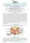 Medicinal Plants for Skin Health: A Holistic Review of Botanical Interventions