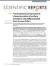 Transcriptome and Proteome Characterization of Surface Ectoderm Cells Differentiated from Human iPSCs