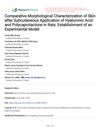 Comparative Morphological Characterization of Skin after Subcutaneous Application of Hyaluronic Acid and Polycaprolactone in Rats: Establishment of an Experimental Model