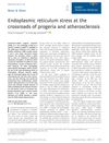 Endoplasmic Reticulum Stress at the Crossroads of Progeria and Atherosclerosis