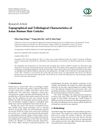 Topographical and Tribological Characteristics of Asian Human Hair Cuticles