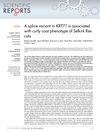 A Splice Variant in KRT71 Is Associated with Curly Coat Phenotype of Selkirk Rex Cats