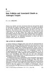 Hair Follicles and Associated Glands as Androgen Targets