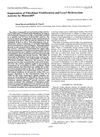 Suppression of Fibroblast Proliferation and Lysyl Hydroxylase Activity by Minoxidil