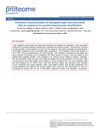 Proteomic Characterization of Damaged Single Hairs Recovered After an Explosion for Protein-Based Human Identification