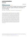 Label-Free Concurrent 5-Modal Microscopy (Co5M) Resolves Unknown Spatio-Temporal Processes in Wound Healing
