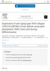 Expression of Anti-Aging Type-XVII Collagen (COL17A1/BP180) in Hair Follicle-Associated Pluripotent (HAP) Stem Cells During Differentiation