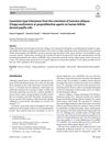 Lanostane-Type Triterpenes from the Sclerotium of Inonotus Obliquus (Chaga Mushrooms) as Proproliferative Agents on Human Follicle Dermal Papilla Cells
