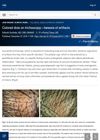 Colored Dots on Trichoscopy—Beware of Artifacts