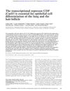 The Transcriptional Repressor CDP (Cutl1) Is Essential for Epithelial Cell Differentiation of the Lung and the Hair Follicle