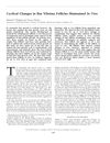 Cyclical Changes in Rat Vibrissa Follicles Maintained In Vitro