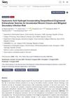 Hyaluronic Acid Hydrogel Incorporating Dexpanthenol-Engineered Extracellular Vesicles for Accelerated Wound Closure and Mitigated Secondary Infection Risk