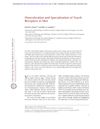 Diversification and Specialization of Touch Receptors in Skin