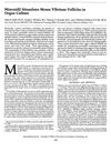 Minoxidil Stimulates Mouse Vibrissae Follicles in Organ Culture