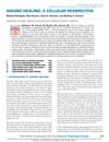 Wound Healing: A Cellular Perspective