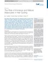 The Role of Immature and Mature Adipocytes in Hair Cycling