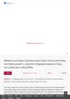 Melatonin Promotes Cashmere Goat (Capra Hircus) Secondary Hair Follicle Growth: A View from Integrated Analysis of Long Non-Coding and Coding RNAs