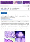 Pathologic Quiz Case: Unexplained Hair Loss—1 Boy, 2 Cats, and 1 Dog