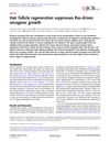Hair Follicle Regeneration Suppresses Ras-Driven Oncogenic Growth