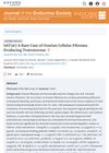 A Rare Case of Ovarian Cellular Fibroma Producing Testosterone