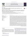 The 5-Alpha Reductase Inhibitor Finasteride Reduces Dyskinesia in a Rat Model of Parkinson’s Disease
