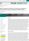 GRHL3 Binding and Enhancers Rearrange as Epidermal Keratinocytes Transition Between Functional States