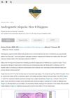 Androgenetic Alopecia: Mechanisms and Progression