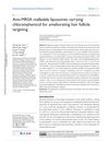 Anti-MRSA Malleable Liposomes Carrying Chloramphenicol for Ameliorating Hair Follicle Targeting